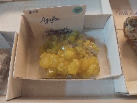 Mineral 1 - MineralExpo 2026